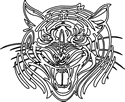 Tiger Design